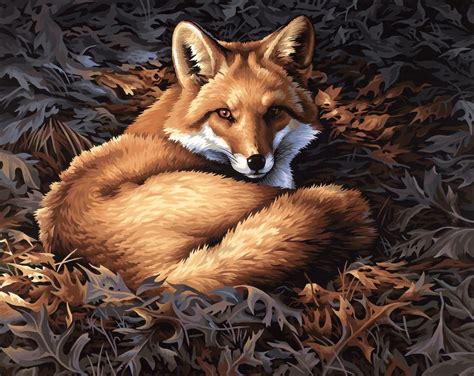 Malen nach zahlen das bedeutet ganz eigene kunstwerke schaffen aus eigener kraft ohne gleich ein hochbegabter. Malen nach Zahlen Fuchs | Dimensions | hobbyshop-mona.de