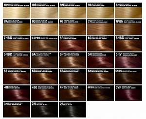 Hair Color Chart Brown Hair Color Chart Loreal Hair Color Hair