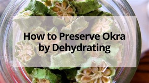 Growing okra in the home garden means having to harvest it every other day since it grows quickly in hot weather. Dried Okra- How to Preserve Okra by Dehydrating