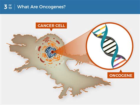 A cancer needs to know that there's security in the relationship, so they are usually not into casual dating or dating multiple people at once. What Is Cancer? - National Cancer Institute