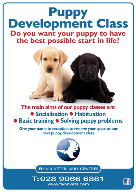 Dog training at petsmart includes classes for all levels and ages! Puppy Training Sessions - Flynn Veterinary Centres