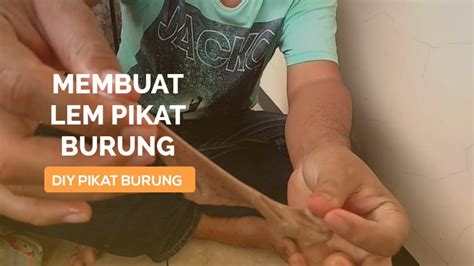 Tahu beras apa yang perlu dipakai? CARA MEMBUAT PULUT ATAU LEM PIKAT BURUNG SEDERHANA - YouTube