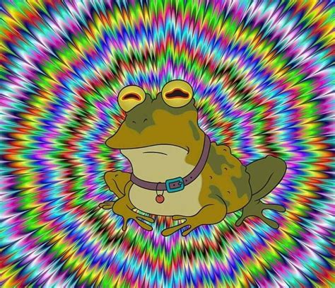 A collection of the top 66 twice wallpapers and backgrounds available for download for free. Hypnotoad Wallpapers High Quality | Download Free