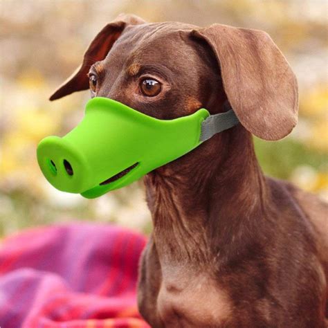 We offer a wide range of pet products. Wholesale Breathable Dog Mouth Muffle Mouth Mask Prevent ...