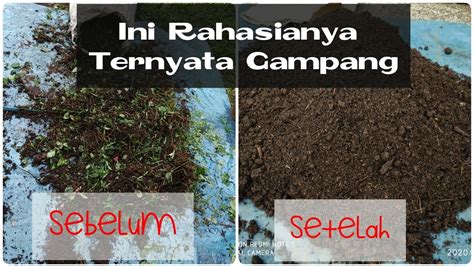 Semua pokok tanaman kita akan berkembang biak, pucuk baru makin meriah, daun semoga perkongsian cara membuat baja roti, baja kompos dan baja organik ini akan membantu. Cara Membuat Pupuk Kompos Mulai Dari Awal Sampai Akhir ...