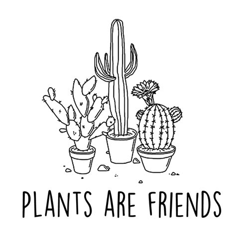 Drawing illustration art plants artists on tumblr lemonfed lemonfed. Download Png Plants Drawing | PNG & GIF BASE