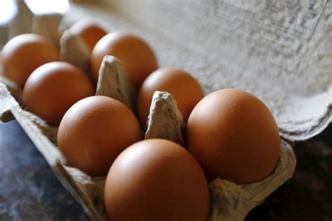 More Than 200 Million Eggs Recalled on East Coast Over Salmonella Fears
