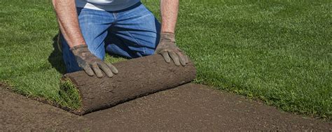 Unroll one piece at a time, end to end, and avoid walking on pieces of sod as you're laying new ones down. grass-sod-put-down-after-pool-removal-fill-grade - Local ...