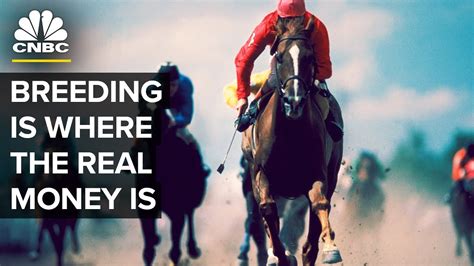 2021 kentucky derby winner medina spirit fails drug test. The Kentucky Derby Winners And Stud Fees | CNBC - YouTube