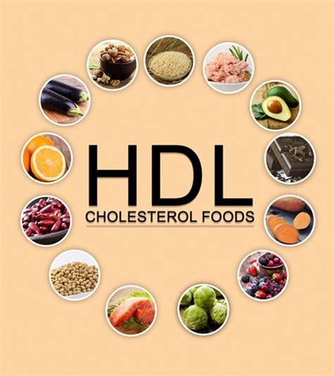 The dash eating plan is one example. 25 HDL Cholesterol Foods To Include In Your Diet | Hdl ...