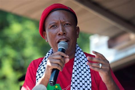 Of was dit die witwolf. Malema: 'Ek skiet om dood te skiet' | Netwerk24