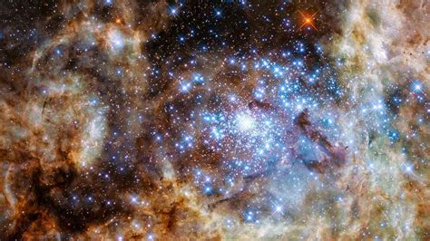 No matter how much distance you put between the past and the present, there always seems to be more than a few famous faces that resemble the iconic looks of the stars of yesteryear. Hubble unveils monster stars | Science | AAAS