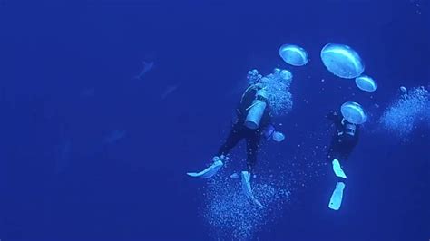 The rock formation was discovered in 1987 by scuba divers of the island's local tourist board. Hammerheads of Yonaguni, Okinawa - YouTube