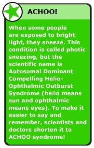 Ever go outside on a sunny day and start sneezing? What Makes Me Sneeze?
