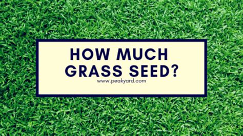 The end results are grasses that are similarly finer to the touch and breathtaking. How Much Grass Seed Do I Need? | Peak Yard