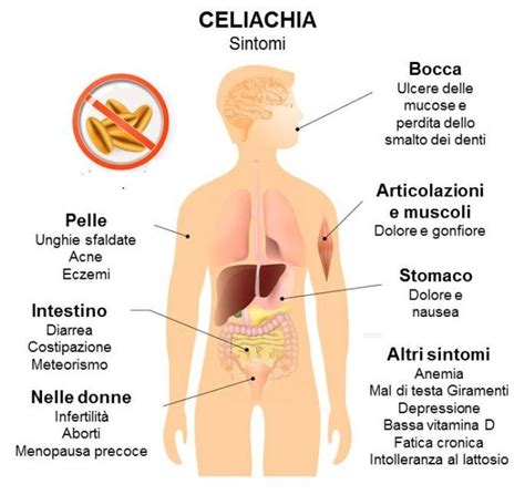 Carne, pesce, formaggio, uova, frutta e verdura sono naturalmente senza glutine: Cos'è la celiachia e quali sono gli alimenti per celiaci