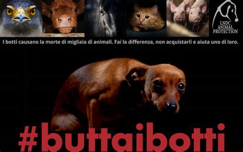 Festa della donna, festa della mamma e festa del papà. #BUTTAIBOTTI 2017, la campgna contro i botti di Capodanno