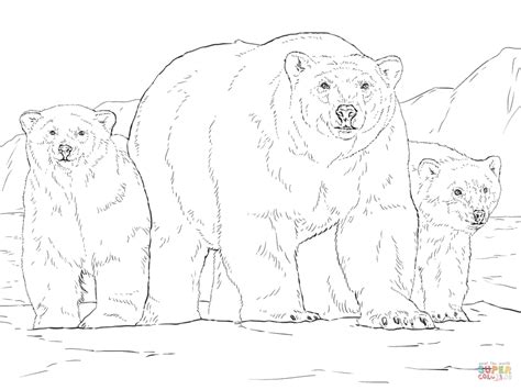 Polar bear is one of the endangered animals that must not be hunted down for any reason. Bear Cub Drawing at GetDrawings | Free download