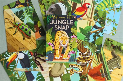 Usborne Jungle Snap Cards on Behance