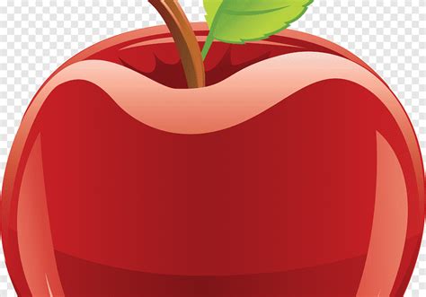 Sketsa buah buahan berupa gambar apel . Gambar Sketsa Apel Merah : Mewarnai Buah Buahan Sketsa ...