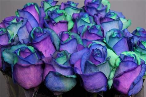 Maybe you would like to learn more about one of these? Purple, teal and blue roses these are pretty :)...i love ...