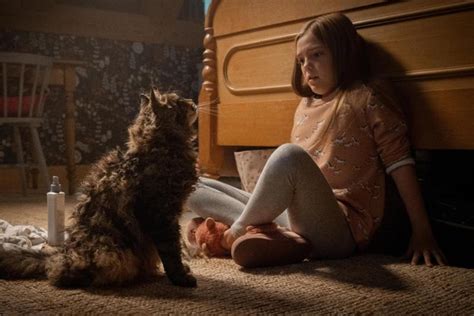 Louis creed (jason clarke) zieht mit frau rachel (amy seimetz) und. „Friedhof der Kuscheltiere": Manchmal ist der Tod besser