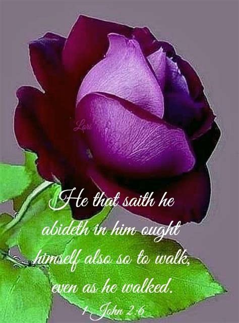 Centuries ago, purple flowers' rarity in nature meant that purple dyes and pigments were exceptionally prized and expensive. Pin by Rosalinda Alcantara on John verses (With images ...