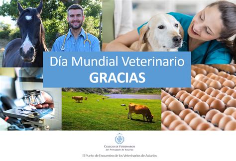 Maybe you would like to learn more about one of these? Día Mundial Veterinario - Colegio Oficial de Veterinarios ...