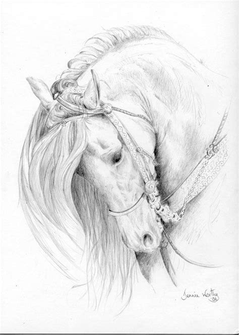 Plus it's about the average the caballo art horse comes with everything you could possibly image. Beautiful Andalusian Horse Original Pencil Drawing A4 by ...