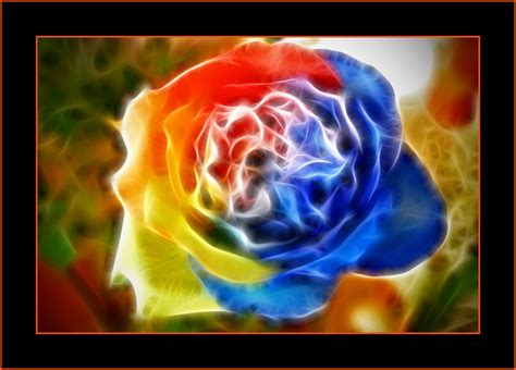 All of these flowers should incorporate similar themes, colors, or blooms for a cohesive look. Gay Pride Flower | A very colorful flower, "slightly ...