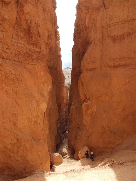 Maybe you would like to learn more about one of these? Bryce National Park | The Road Chose Me
