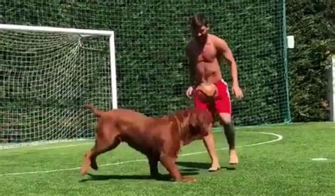 And in the latest family snap messi's partner antonella roccuzzo posted. Lionel Messi even makes his pet dog Hulk look silly when ...