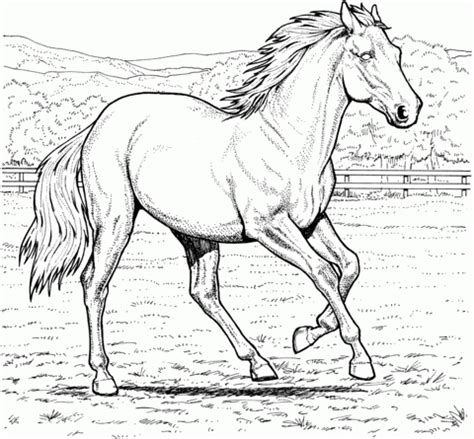 Remember when you were a child you used to color your coloring papers? 20+ Free Printable Horses Coloring Pages - EverFreeColoring.com
