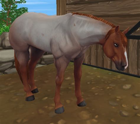 Bilder, text, audio und video ist im besitz und geschützt von warema. American Quarter Horse | Star Stable Wiki | Fandom