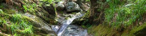 Eén van de mooiste wandelingen in de belgische ardennen. Ninglinspo wandeling in the Belgische Ardennen