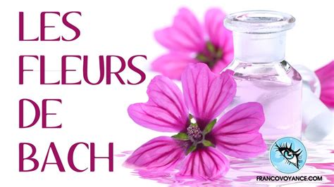 Les fleurs de bach pour maigrir ou arrêter de fumer ? Les Fleurs de Bach - YouTube