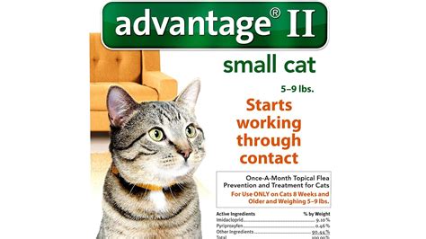 Zoetispetcare.com has been visited by 100k+ users in the past month Cat Advantage Flea - Cat Choices