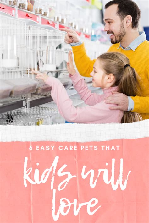 6 Low Maintenance Pets That Both Kids and Moms Will Love ...