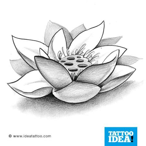 Disegno differente home decor luxury fiori di loto murale. SCARICA GRATIS! Disegni Tatuaggi Fiori Di Loto - Disegni da colorare gratuiti