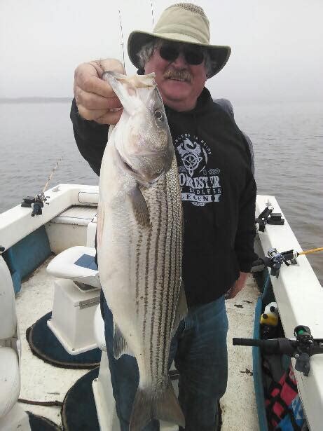 Shad spawn on lake texoma. CD's Guide Service on Lake Texoma - Lake Texoma