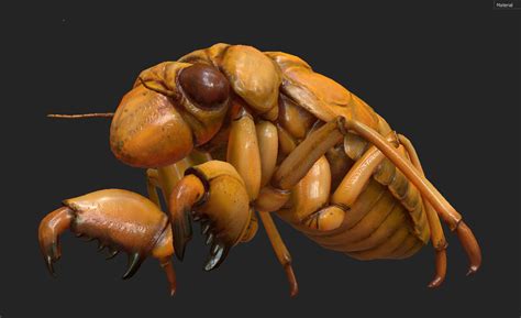 They are in the suborder auchenorrhyncha. Cicada Nymph model for VR - ZBrushCentral