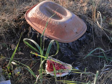 Mit zeit und geduld kann man sämtliche löcher, die ameisen im garten bzw. Ameisen im Garten - Allmystery