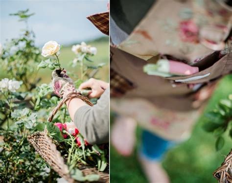 Die durchsetzung kann auch mit geldstrafe durch ordnungsamt verfolgt werden. Sommerspecial: Ab in den Garten! ~ Rosen, nichts als Rosen ...