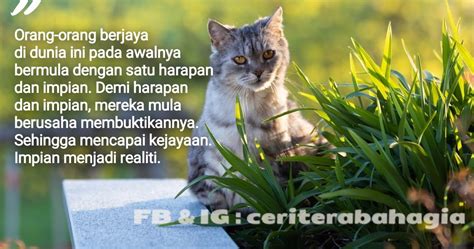 Kata kata motivasi bijak agar lebih. Kata Mutiara Hikmah Kepada Pelajar - Inspirasi | Resepi