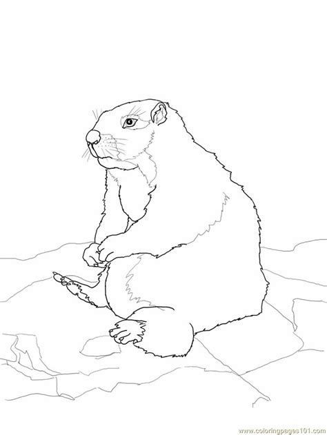 Dog man and cat kid coloring page super fun coloring. Sitting gopher or Prairie Dog Coloring Page - Free Gopher ...