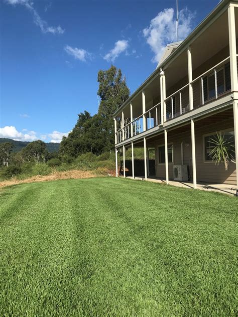 This lawn is a buffalo lawn (otherwise known as st. Sir Walter Buffalo Grass 100% Pure Australian Lawn Concepts Office-2 - Glenview Turf Suppliers