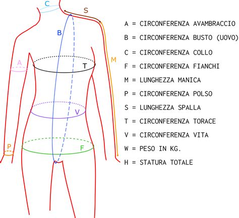Dopo l'imposizione di tante proibizioni alimentari ricordiamo che in natura esistono anche cibi gustosi e in grado di ridurre. Come misurarsi?