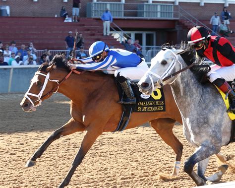 Maybe you would like to learn more about one of these? Papa Dude's Free Oaklawn Picks For Sunday 4/11/21 ...