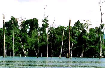 Tasik kenyir is a reservoir lake formed from the damming of the kenyir river in ulu (upriver) terengganu. Kenyir Lake, Tasik Kenyir, Tasek, press release, news ...