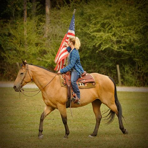 We have over thousands for you to browse, including palomino, buckskin and racing. Buck | Horse of My Dreams